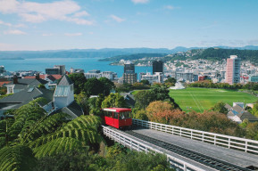wellington cable car st georg accommodation